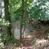 Zvětšit obrázek