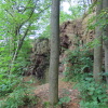 Zvětšit obrázek